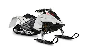 Lynx Rave RS 600RS E-Tec